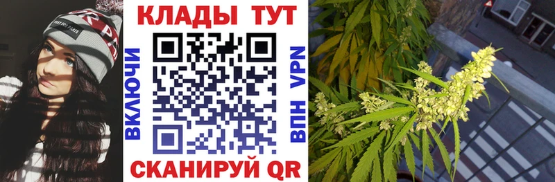 Как найти закладки Георгиевск COCAIN Псилоцибиновые грибы ГАШ Alpha PVP