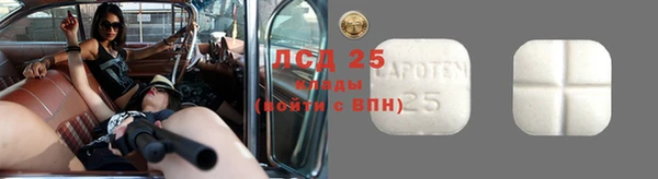 spice Арсеньев
