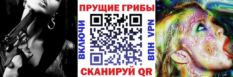 Псилоцибиновые грибы Cubensis  Георгиевск 